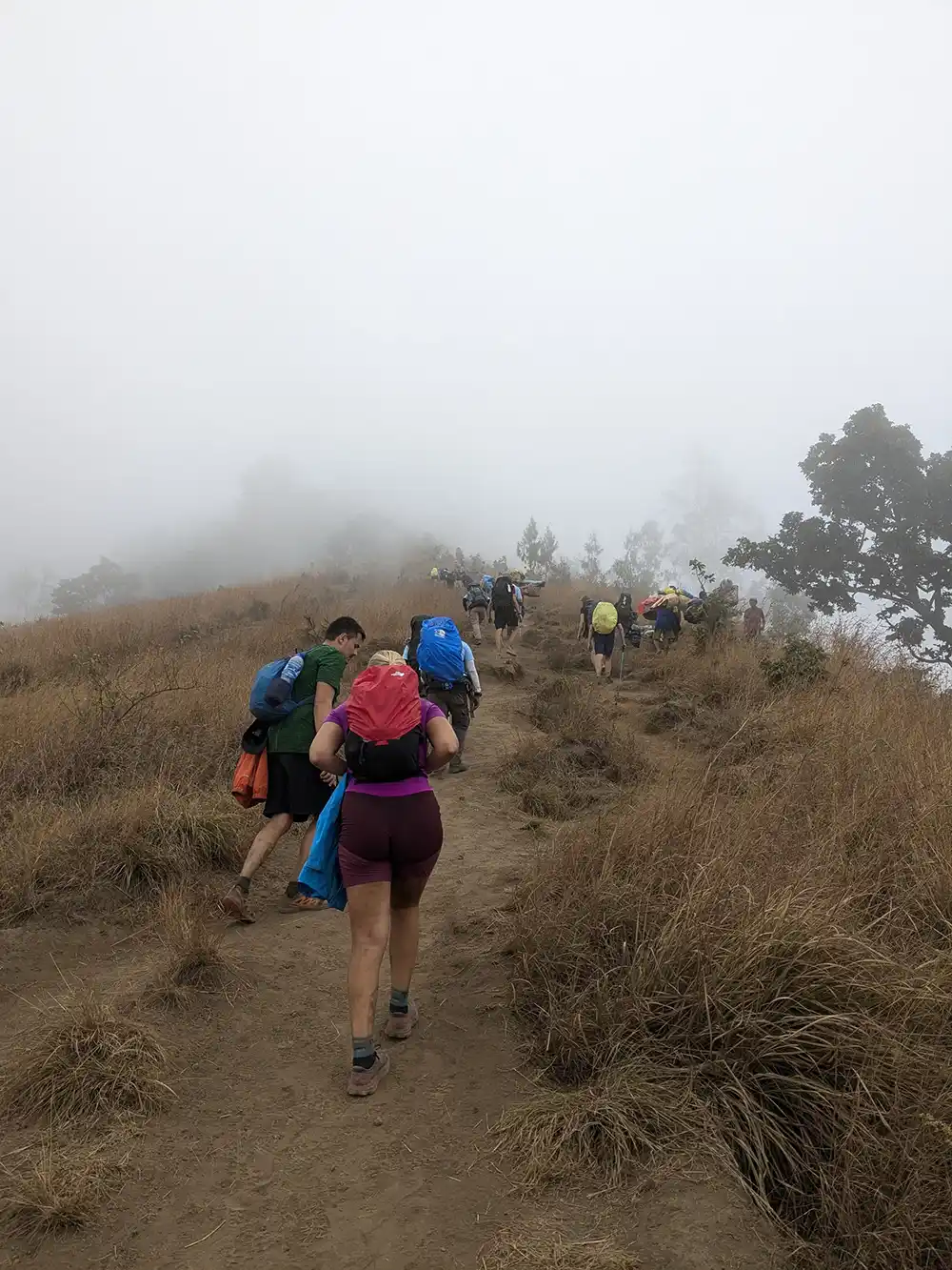 HIKING MT RINJANI 3