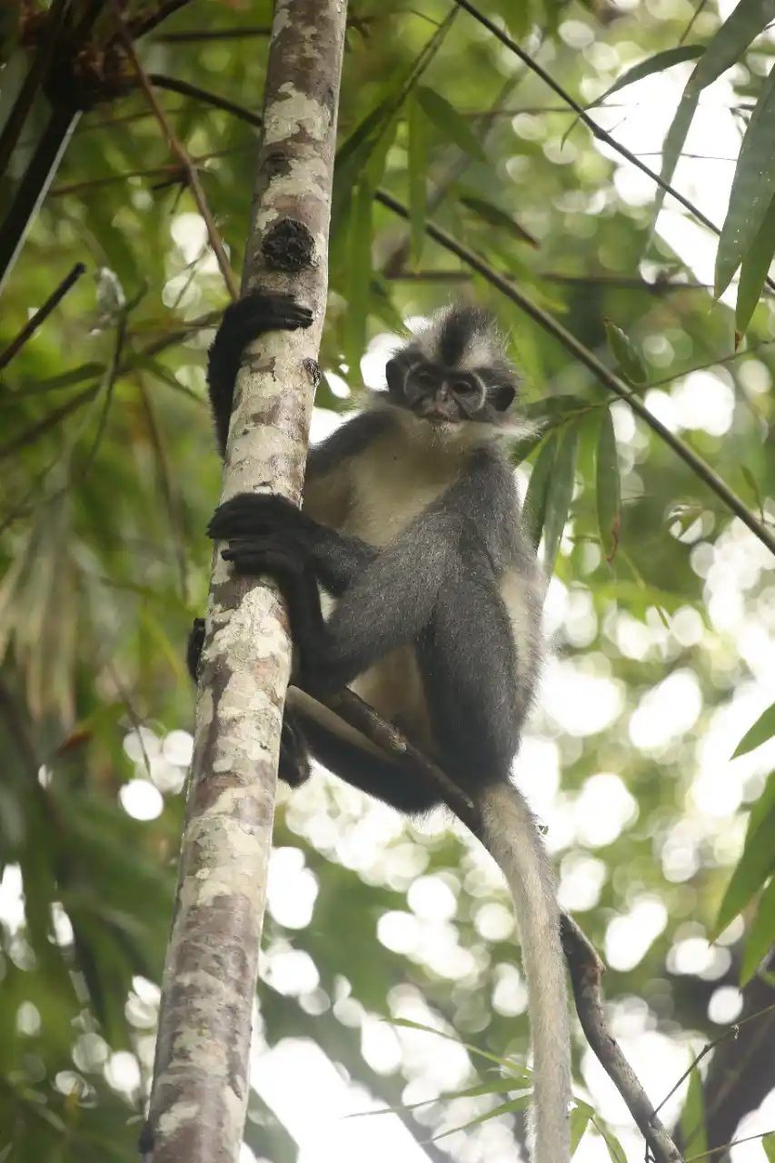 TREKKING CAMPING WILDLIFE 1