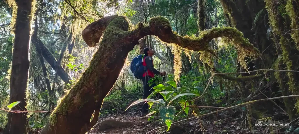 TREKKING CAMPING WILDLIFE 5