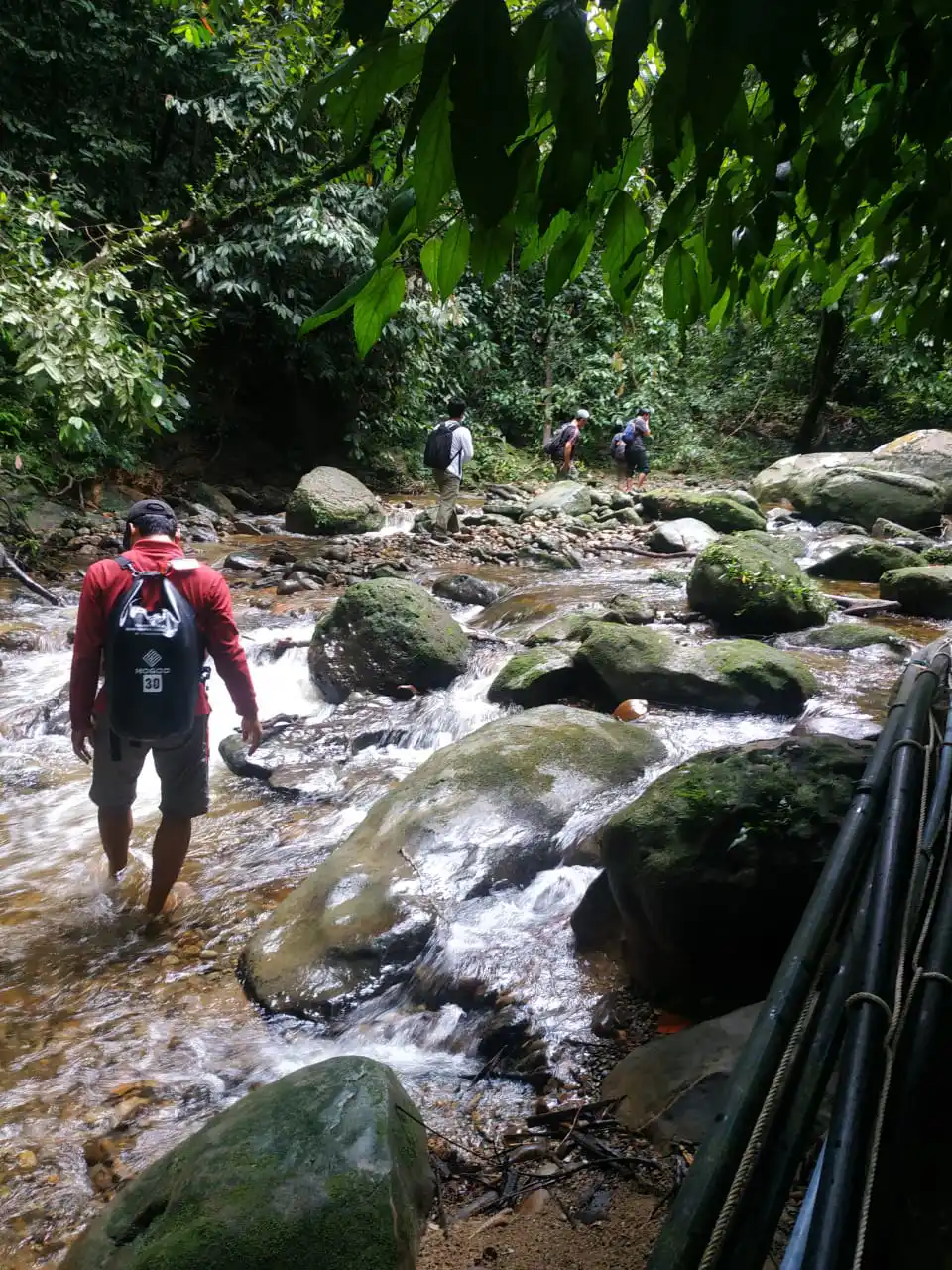 TREKKING CAMPING WILDLIFE 6