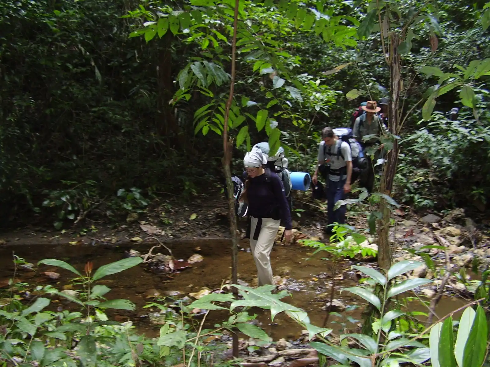 TREKKING JUNGLE SURVIVAL 1