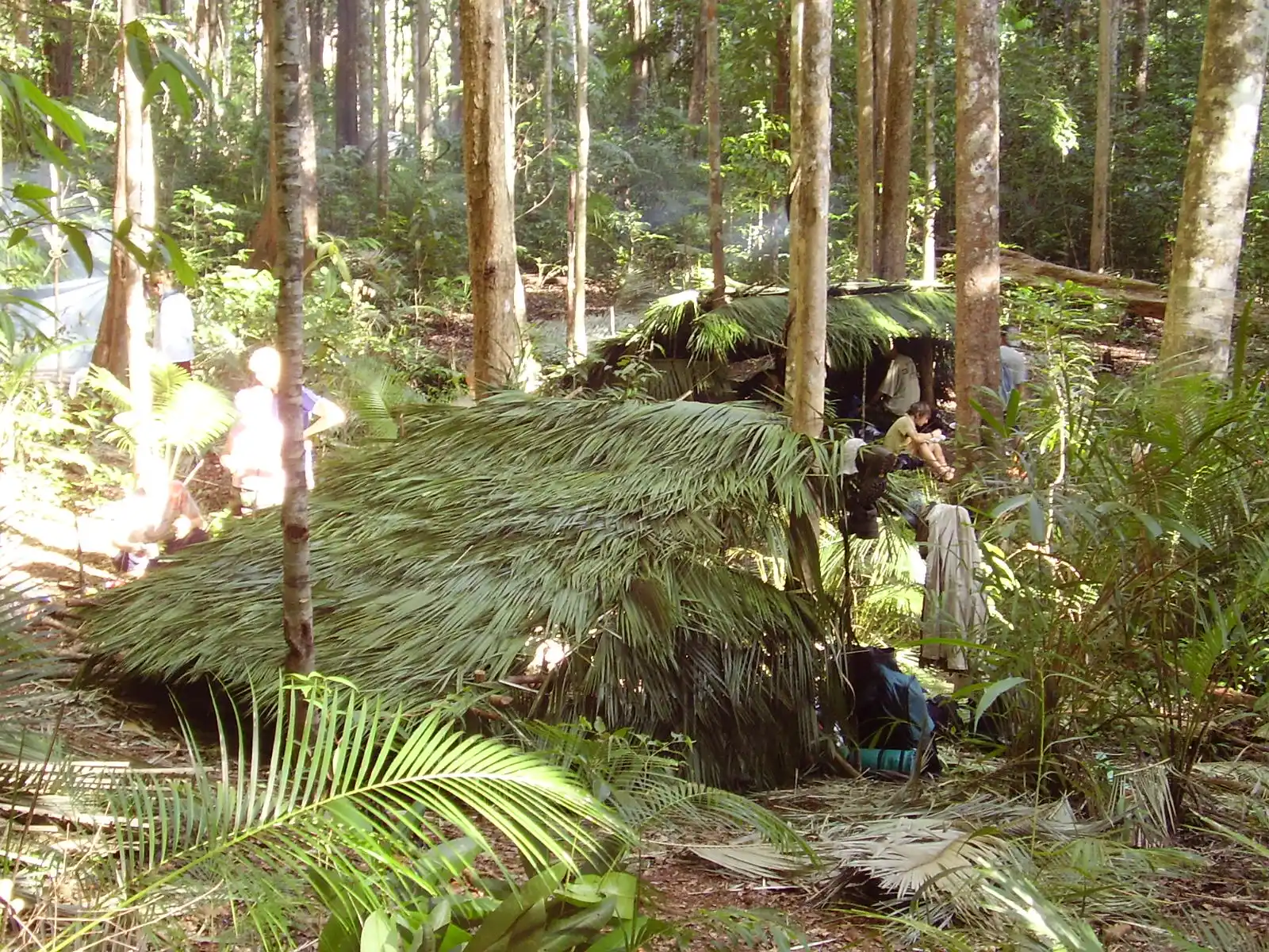 TREKKING JUNGLE SURVIVAL 2