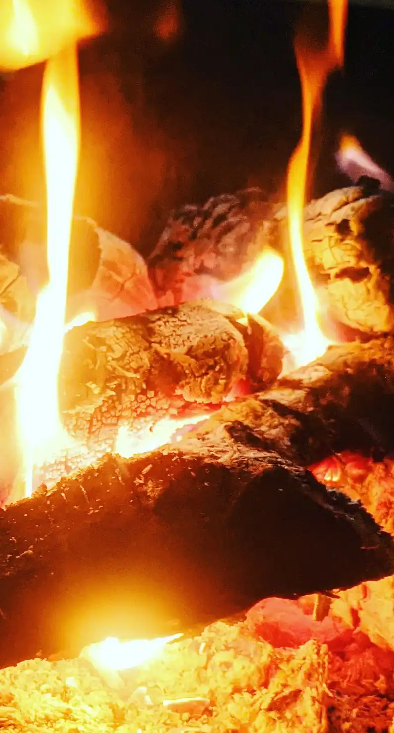 treking jungle survival