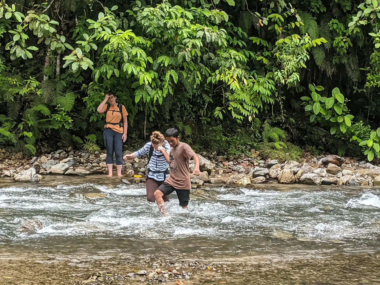 trekking camping wildlife 4